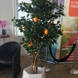 Oranger artificiel